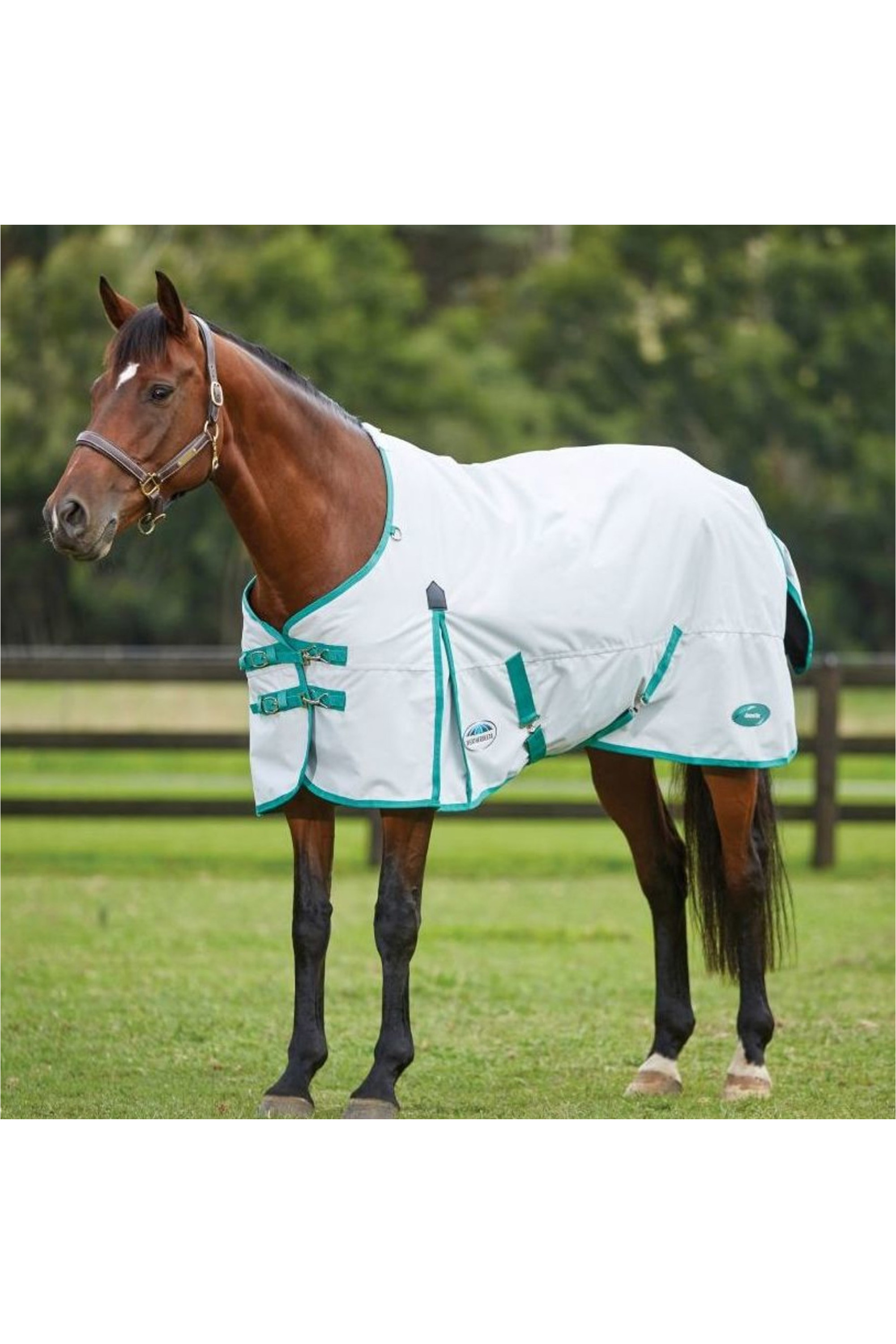 Weatherbeeta Comfitec Plus Dynamic II Standard-Neck Midweight