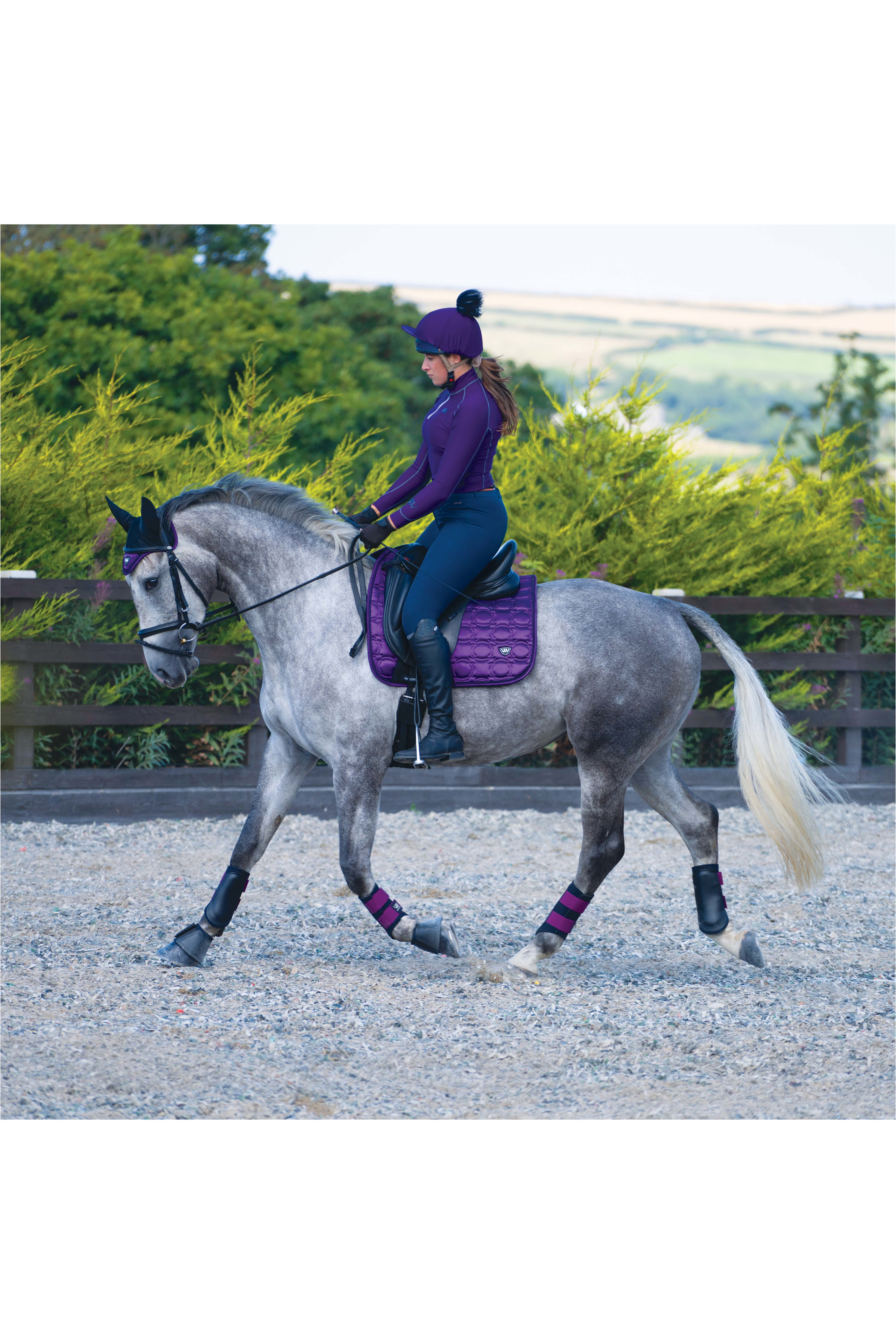 22 Woof Wear Vision Dressage Pad Ws0006 Damsen Purple Horse Numnahs The Drillshed