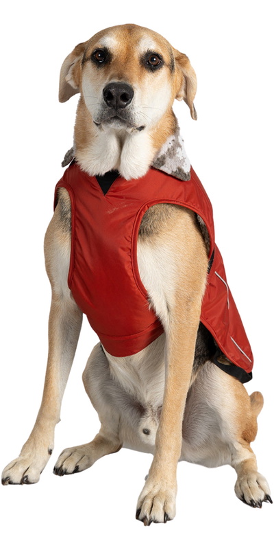 Dryrobe Chaqueta Para Perro