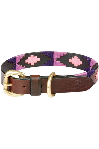 WeatherBeeta Polo Leather Dog Collar