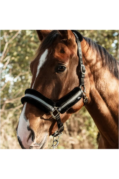 Mountain Horse Halter