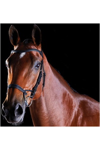 Collegiate Comfitec Training Bridle - Black