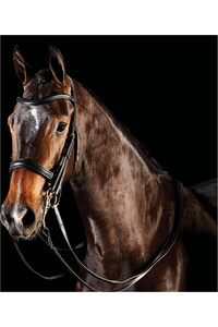 Collegiate Comfitec Weymouth Bridle - Black