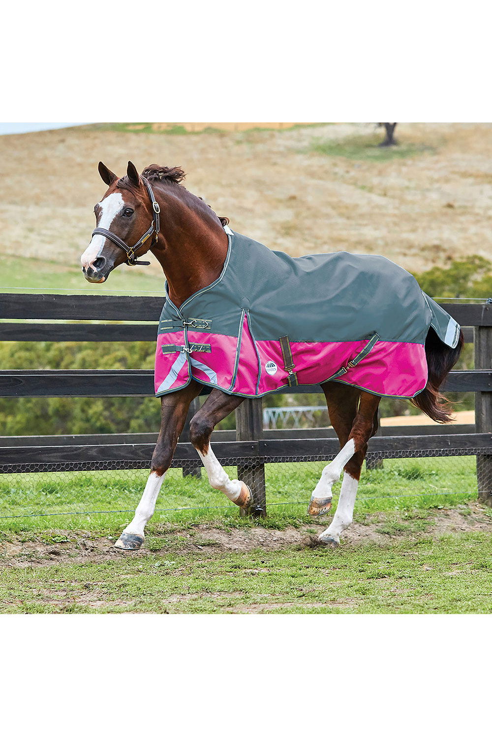 Weatherbeeta ComFiTec Classic Standard Neck Lite Plus