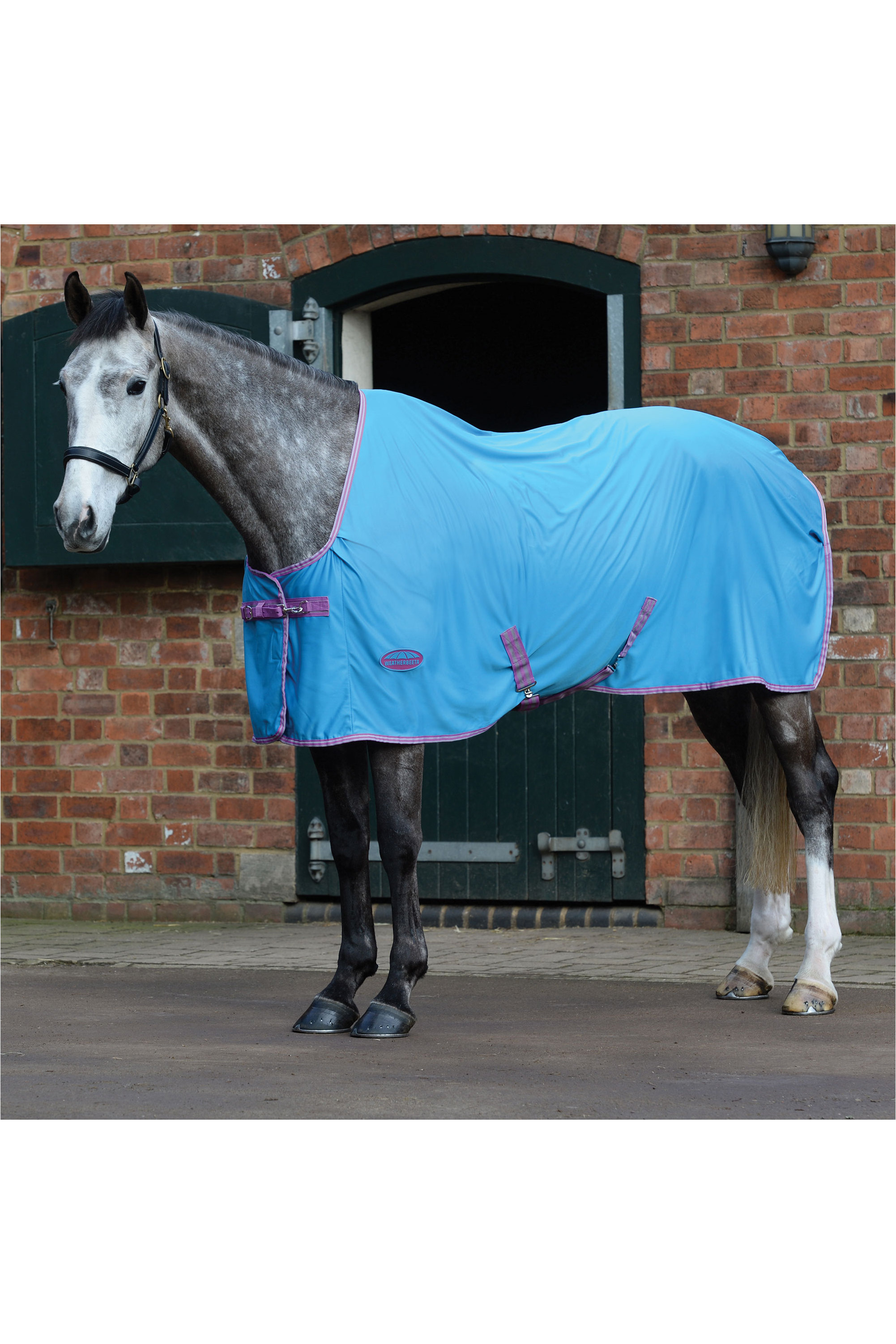 Fly Rug Weatherbeeta Weatherbeeta Ezi-Dri Standard Neck Fly Rug Blue / Purple - 8049 - Horse ...