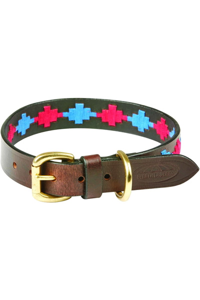 WeatherBeeta Polo Leder Hund Halsband