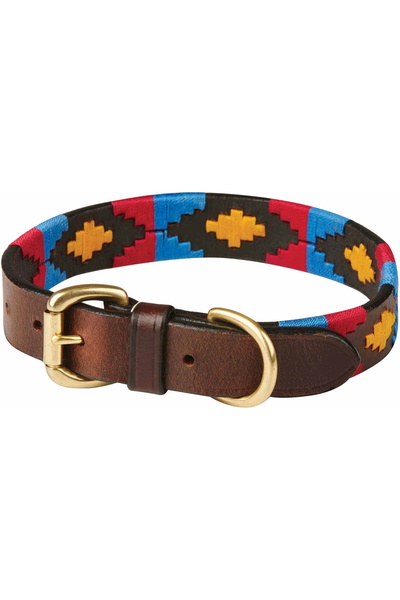 WeatherBeeta Polo Leather Dog Collar