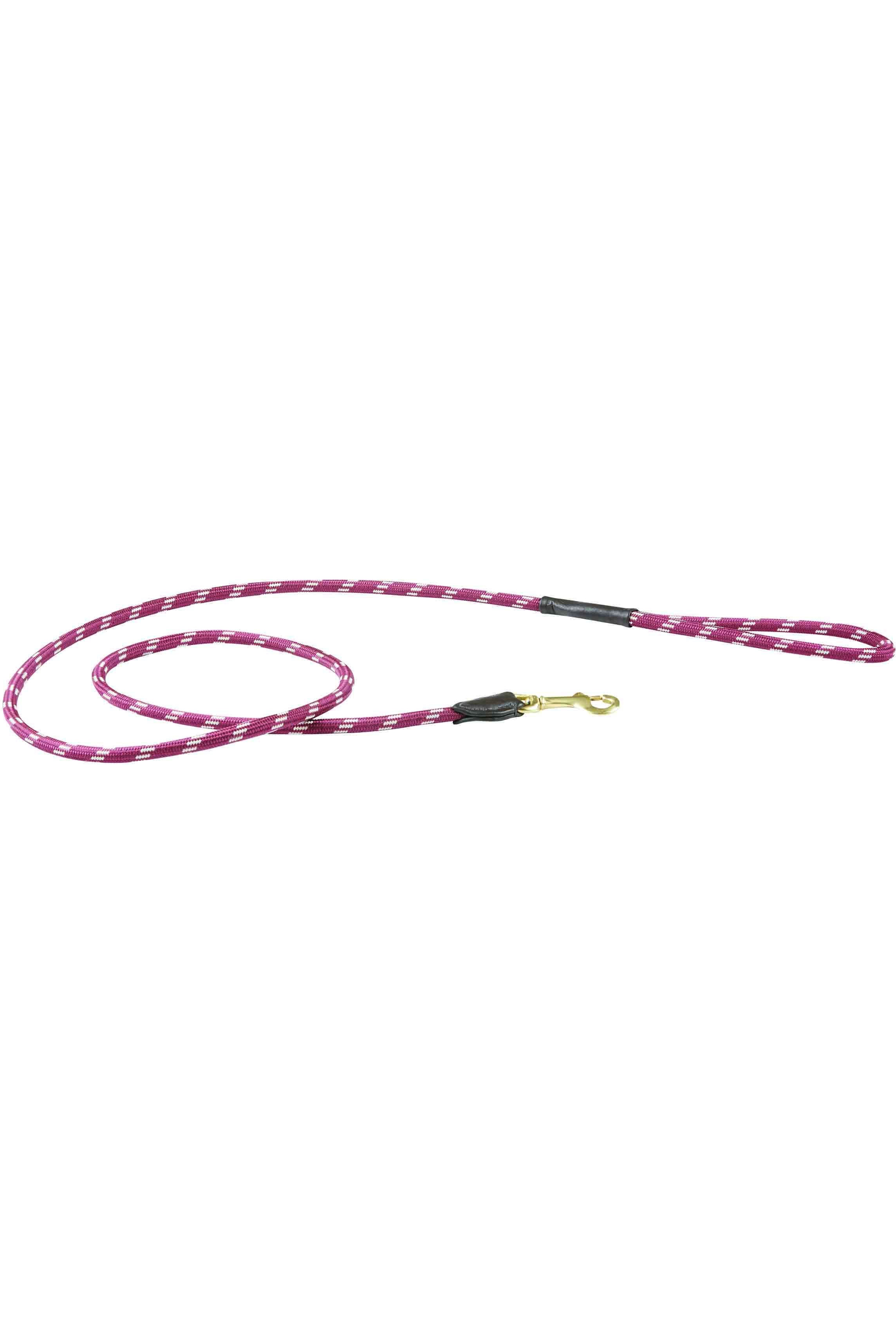 Eta Rope Weatherbeeta Rope Leather Dog Lead 1001701 - Burgundy - Dogs | The ...