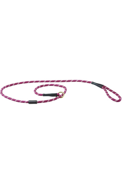 WeatherBeeta Chien En Cuir Weatherbeeta Corde