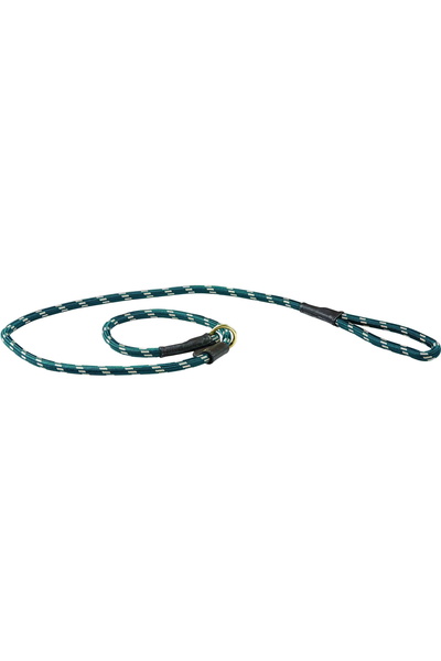 WeatherBeeta Chien En Cuir Corde Météobeeta