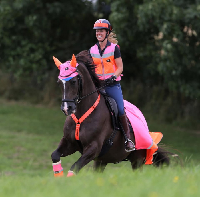 Hi Viz