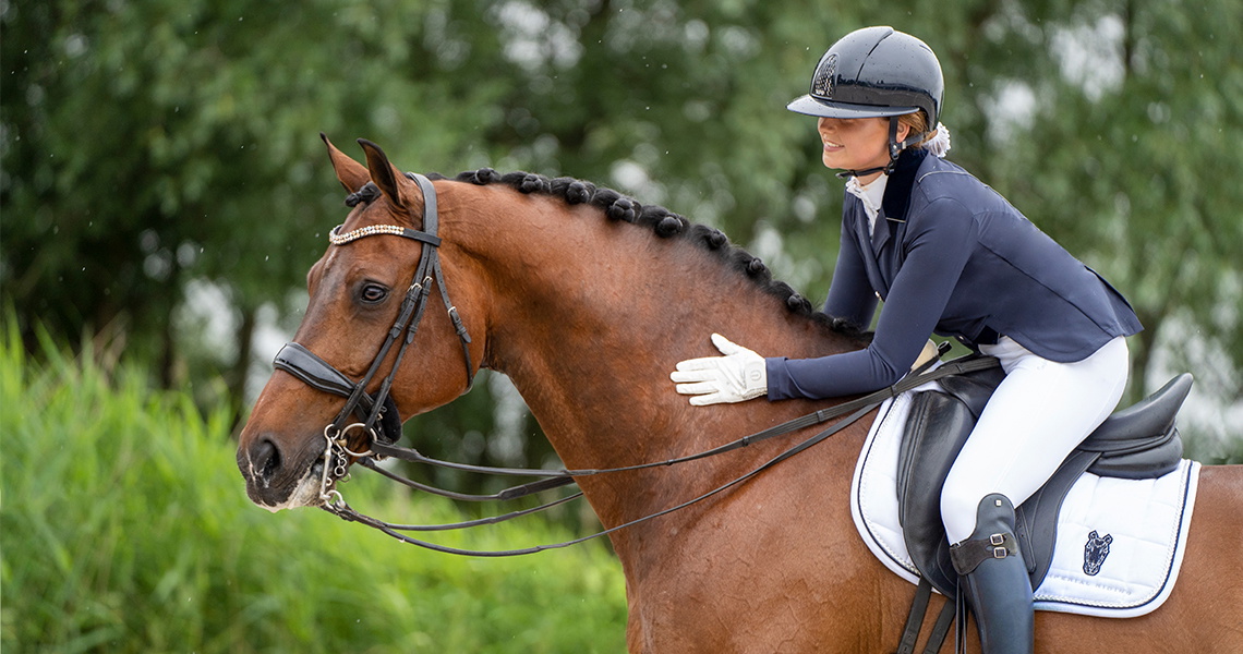 horse