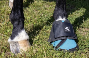 The Woof Wear Medical Hoof Boot, Support & Protection for Horses
