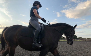 horse and rider