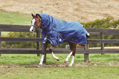 Choosing the perfect rug for your Horse