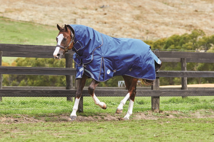 Choosing the perfect rug for your Horse | The Drillshed Blog