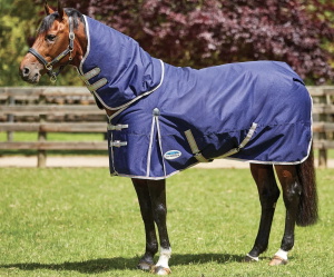 Rug Care Tips to Keep Your Horse