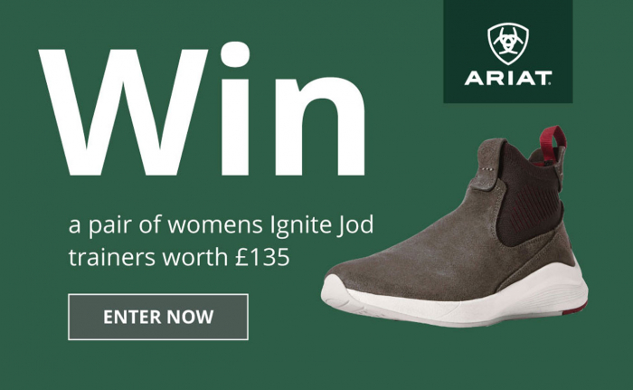 win ariat trainers