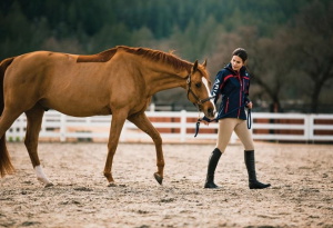 person with horse