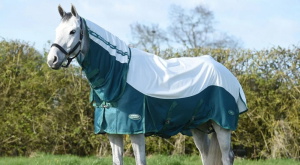 The Ultimate Guide to Caring for Your Horse Rugs