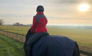 person riding horse