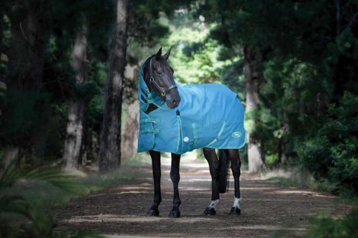 Tapis D'écurie WeatherBeeta Belmont 100g 5'9" – Bon état, Idéal Pour L'hiver