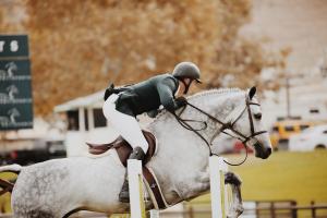 Are Horse Riders Athletes?