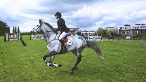 7 Tips For Horse Riding With Confidence 