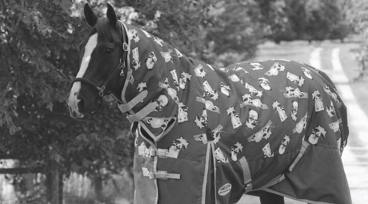 horse-rugs-sale-c-280_311.html
