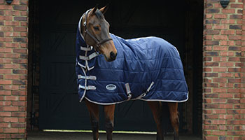 all-horse-rugs-lp-3.html