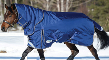 Rugging your Horse this winter