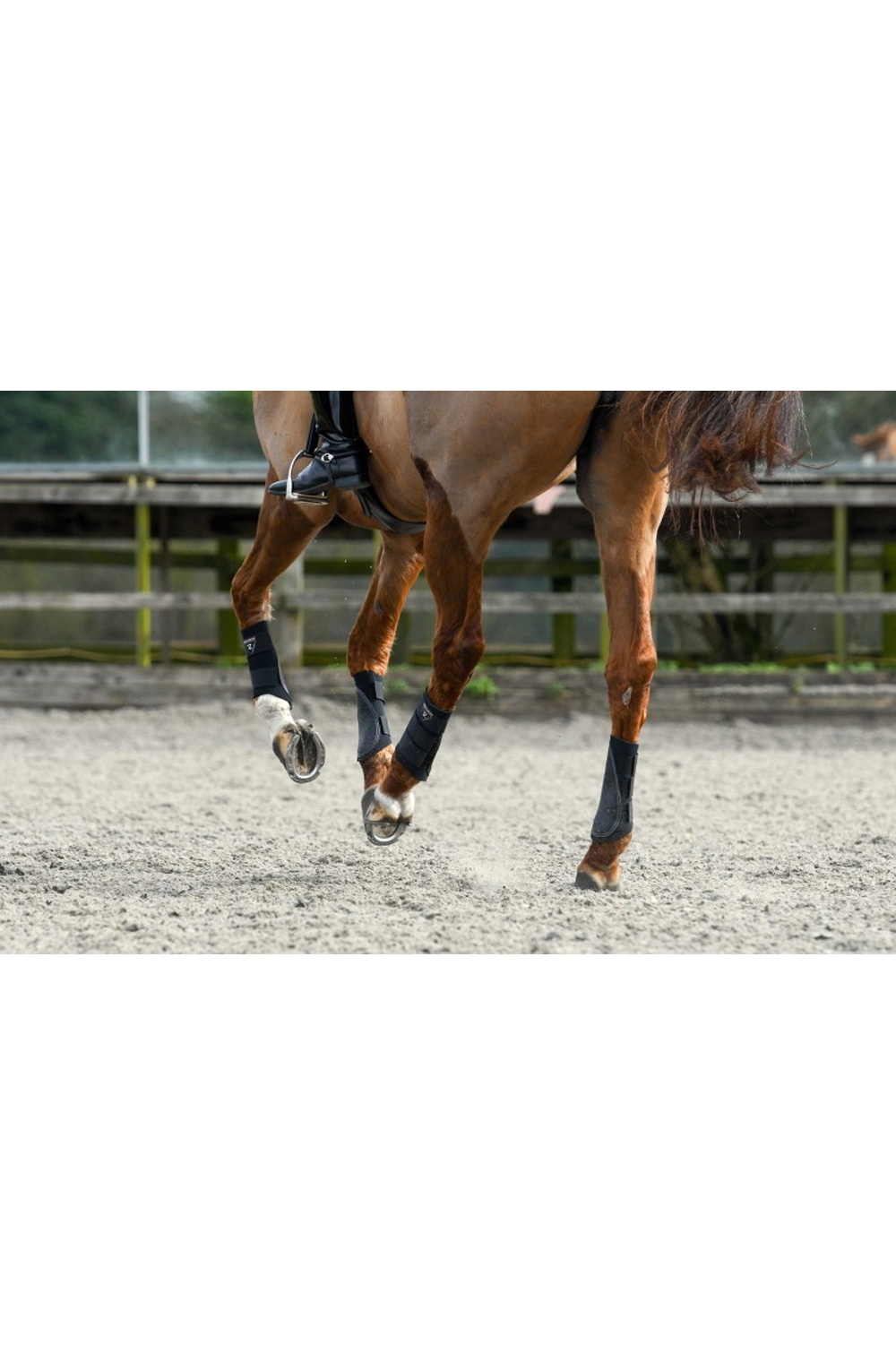 equilibrium tri zone brushing boots