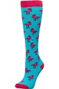 2023 Dublin Einzelpackung Socken 10047400 - Aqua Flamingos