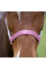 2022 Hy Equestrian Synergy Head Collar & Lead Rope 34499 - Grape / Silver