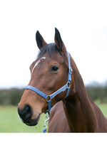 2022 Hy Equestrian Synergy Head Collar & Lead Rope 34499 - Riviera / Silver