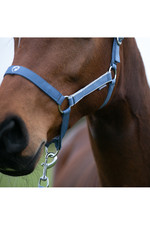 2022 Hy Equestrian Synergy Head Collar & Lead Rope 34499 - Riviera / Silver