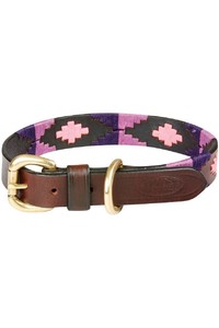 2023 Weatherbeeta Polo Leather Dog Collar 10016990 - Cowdray Brown / Purple
