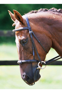Equilibrium Net Relief Muzzle Net Brown