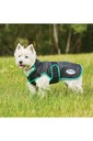 Weatherbeeta Comfitec Windbreaker Free Deluxe Dog Coat - Black / Green