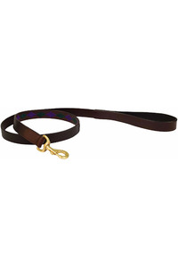 Weatherbeeta Polo Leather Dog Lead - Beaufort Brown / Purple / Teal