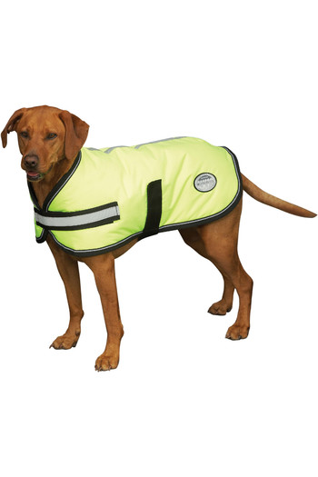 weatherbeeta thermic dog coat