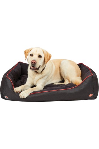 red and black dog bed