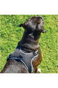 Weatherbeeta Elegance Dog Harness - Black