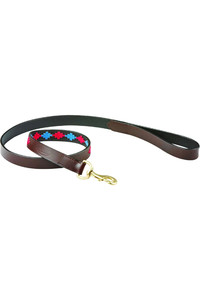 Weatherbeeta Polo Leather Dog Lead - Beaufort Brown / Pink / Blue