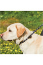 Weatherbeeta Rope Leather Slip Dog Lead - Navy / Brown