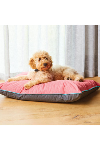 grey waterproof dog bed