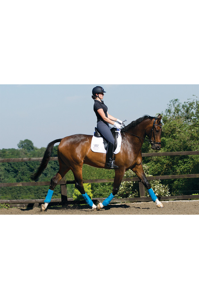 Woof Wear Dressage Wraps Black / Shiraz WB0061 Horse Horse