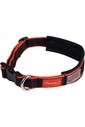 Weatherbeeta Therapy-Tec Dog Collar Black / Red