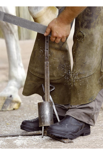 mountain horse protective jodhpur boots