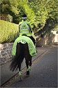 2022 Equisafety Polite Horse Leg Wraps POLLEG - Yellow